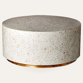 Maaya Brass Bone Inlay Round drum Coffee Table White Floral